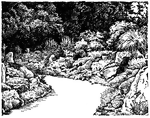This illustration of alpine gardening shows good rock work in a cool and protected place.