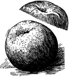Pictured are the top and bottom views of a York Imperial apple.