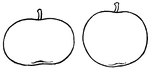 Pictured are the oblate (left) and spherical (right) forms of apple.