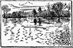 Illustrated is a cranberry bog flooded in the winter.