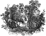 Illustrated is a glimpse in Shenston'es Leasowes.  It is an example of landscape gardening.