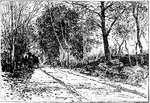 Illustrated is an interesting marginal road. The grounds lead off into an informal country road.
