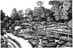 Illustrated is the formal flower garden (also called a herb garden) of colonial days.