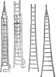 The two left ladders are extension ladders. The right ladders are tree ladders.