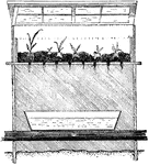 Illustrated is a simple propagating frame. It is used for propagating nepenthes, dracenas, and other tropical subjects.