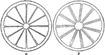 Illustrated are transverse sections of ovaries of (a) <i>synocarpous</i> and (b) <i>apocarpous</i>.