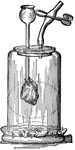 A diagram of how respiration works. A balloon is attached to the end of a small oil lamp chimney. The container is sealed tight with a sealing wax. As the chimney fills with air, the balloon expands, showing a representation of what a lung looks like while it is expanded. As expected, air leaves the balloon when the chimney is not covered, forcing air to leave the "lung". The piece on the right helps to control the air pressure within the container.