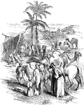 An illustration of an outdoor scene in ancient Arabia. Pictured are camels, shepherds, and others going about their miscellaneous tasks.
