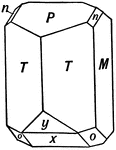 This figure shows a crystal of Orthoclase, exhibiting forms (M), (P), (T), (x), (y), (o), and (n).