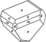 This image shows a hemihedral crystal of pyroxene, whose forms are (c), (b), (a), (m), (o), and (u).