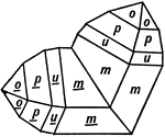 In the tetragonal system, the unit pyramid of the second order is the most common twinning plane. This is represented here as it occurs on crystals of Zircon, bounded by the forms (m), (u), (p), and (o).