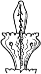 A Fin'ial is an ornament (generally carved to resemble foliage) which forms the termination of pinnacles, gables, spires, and other portions of Gothic architecture. This image shows an example of a fin'ial.