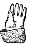This illustration shows the glove of Henry VI.