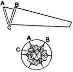 This illustration shows the arrangement of mirrors in a kaleidoscope (AC and BC), and the patterns formed.