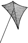 The Eddy Tailless Kite (named so after its inventor, Eddy of Bayonne), is a tailless kite. The convex surface exposed to the wind enables a tail to be dispensed.