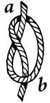 The most common type of knot, the overhand is made by passing one end of a line over the line and around it, then passing it through the loop.