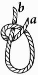 To form a half-hitch, pass the end 'a' of the rope around the standing part 'b', and through the bight.
