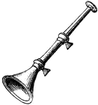 A chatzozerah, or straight trumpet from Psalms 98:6.