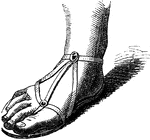 A Roman gladiator-style sandal.