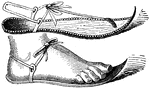 An Egyptian sandal, with a curved front.