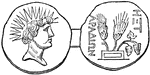 This medal shows that the people of Aradus venerated the sun, and were proud of the products of their territory, corn and wine.