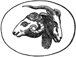 Cut from an ancient stone, the ram and goat with one horn are symbols for Persia and Macedonia, respectively.  This engraving may have been done during the time of Alexander the Great.