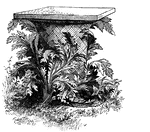 An acanthus plant in front of a pedestal.  Acanthus is a very common decorative plant.