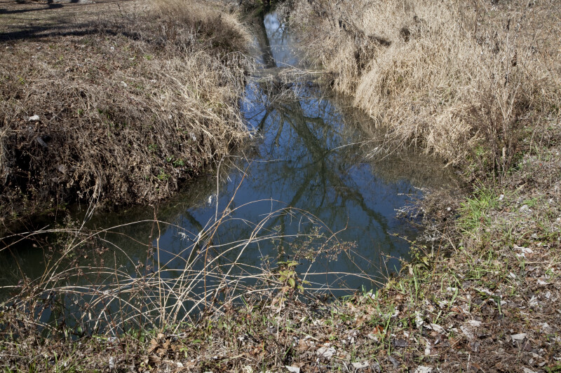 A Bend in the Stream at the Espada Acequia