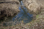 A Bend in the Stream at the Espada Acequia