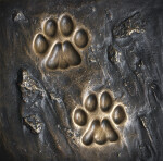 A Bronze Plaque Showing Bobcat Tracks