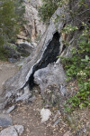 A Burned Out Tree Trunk