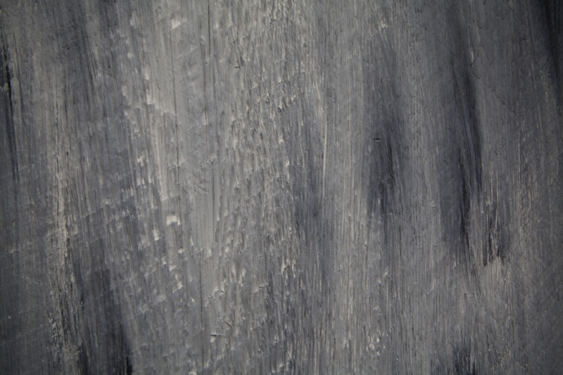 A Close-Up of Wood