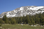 A Closer View of a Mammoth Peak with Pine Trees around the Base