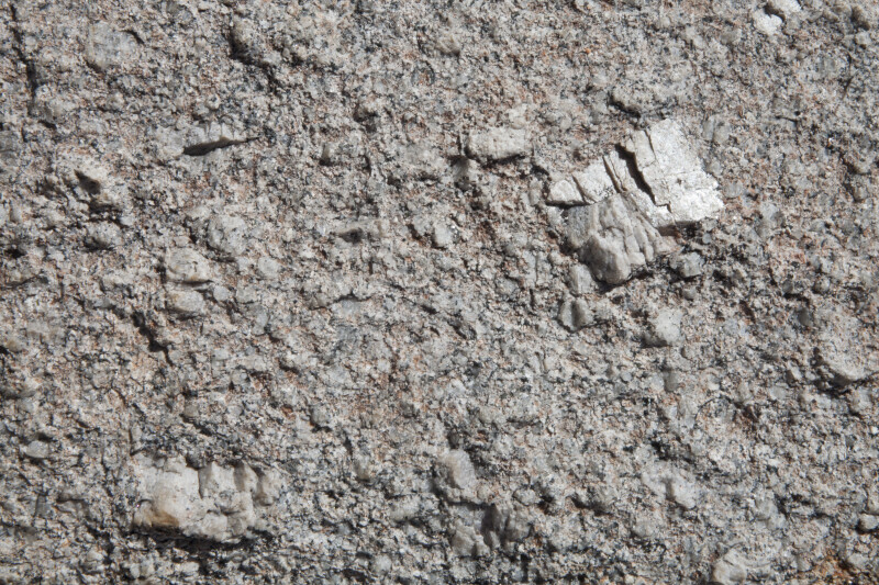 A Coarse Granite Surface with Large Inclusions
