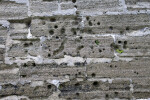 A Coquina Wall with Cannon Damage