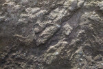 A Exposed Rock Surface