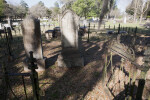 A Fenced Plot for the Whitner Family