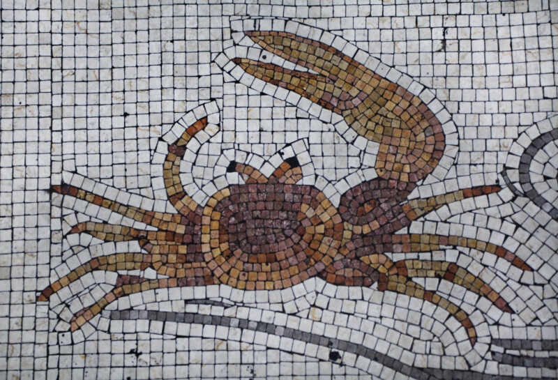 A Fiddler Crab in a Mosaic