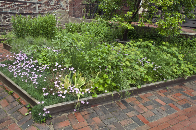 A Garden at the Paul Revere House