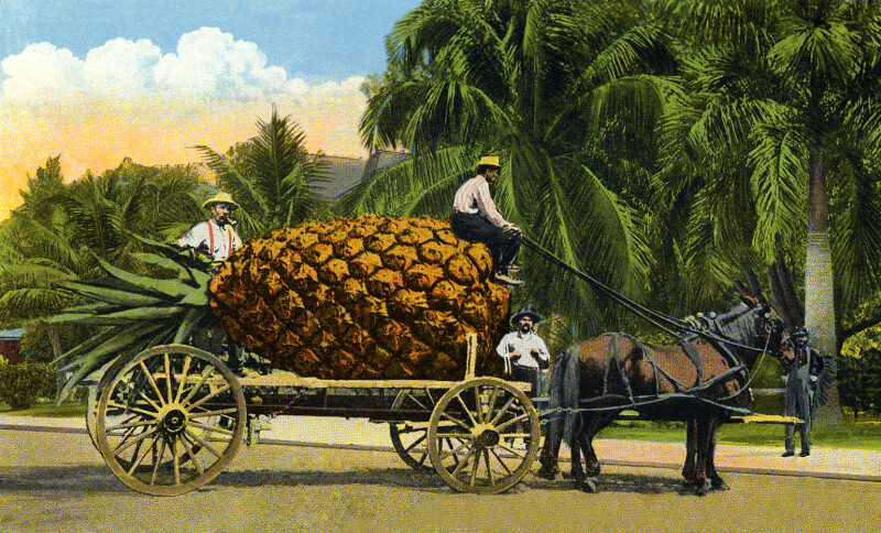 A Good Wagon Load of Pineapples from Florida