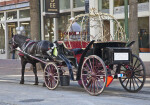 A Horse Drawn Carriage