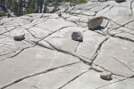 A Jointed Granite Surface at Olmstead Point