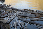 A Logjam behind the O'Shaughnessy Dam