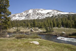 A Mountain Rising above the Tree Line