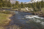 A Mountain Stream