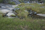 A Mountain Stream