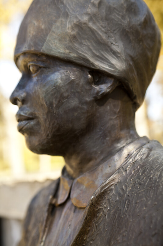 A Profile View of the Left Side of the Face of a Bronze Sculpture