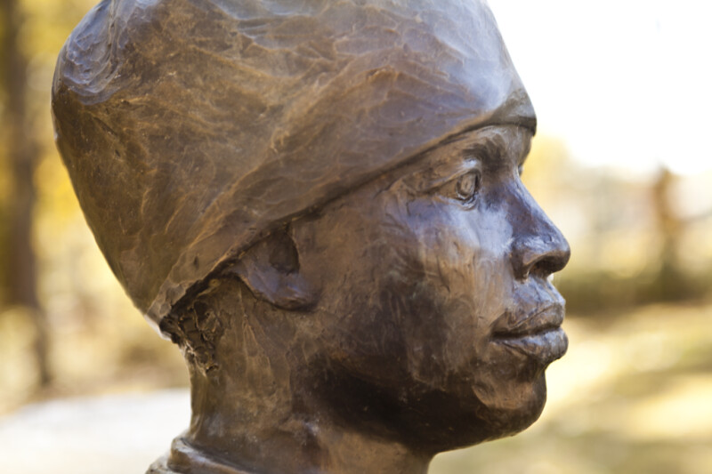 A Profile View of the Right Side of the Face of a Bronze Sculpture