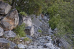 A Rocky Path