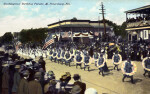 A Scene from the Washingtons' Birthday Parade in St. Petersburg, Florida